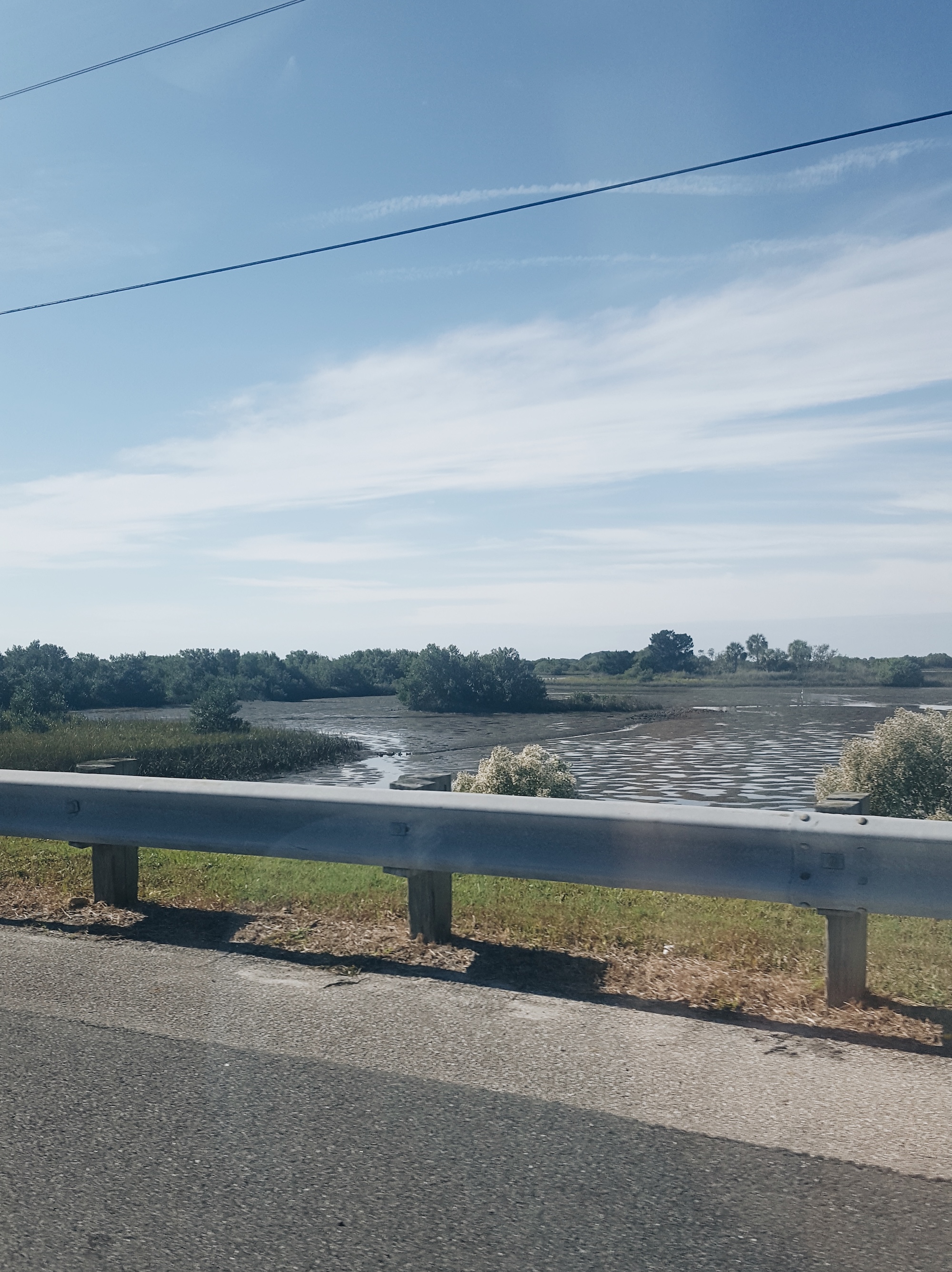 View from the car while driving in to Cedar Key