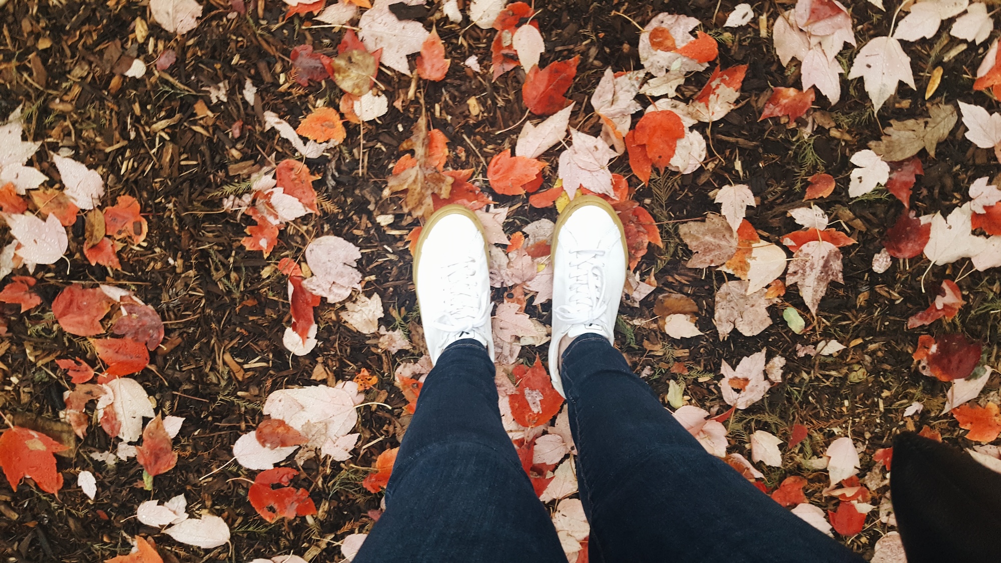 Alyssa takes a photo of her shoes in the leaves in Central Park