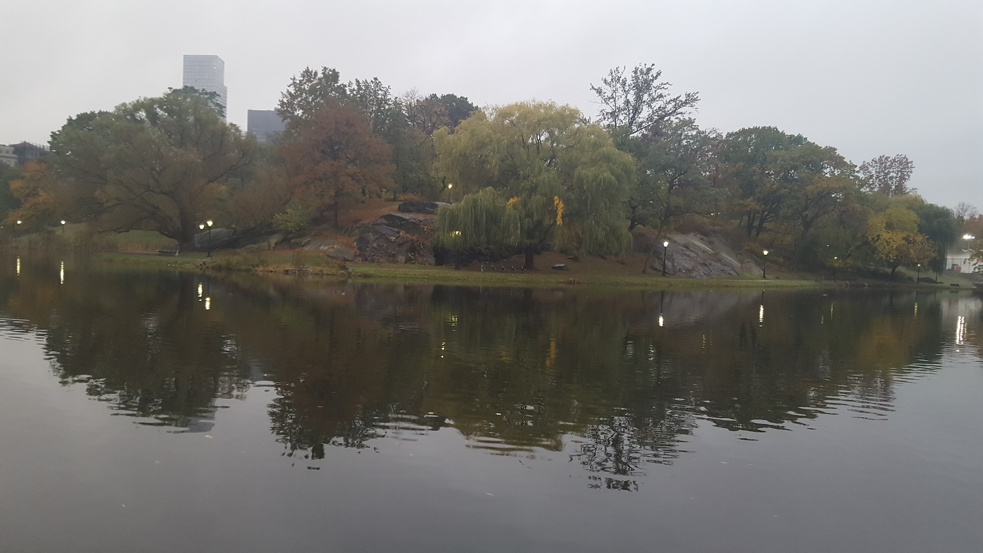 Central Park in the Fall