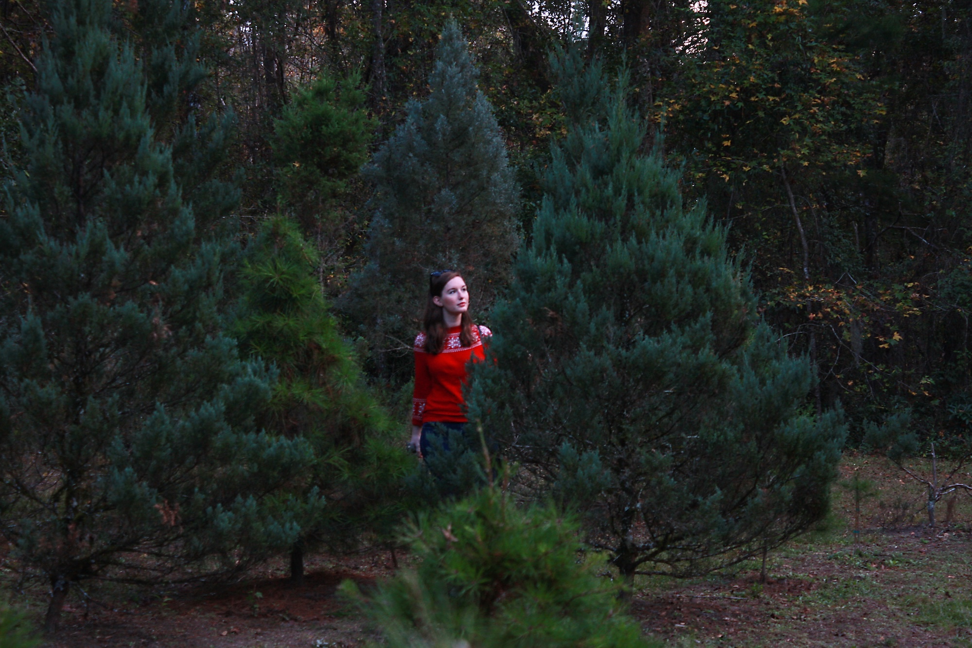 Alyssa wanders through a Christmas Tree Farm