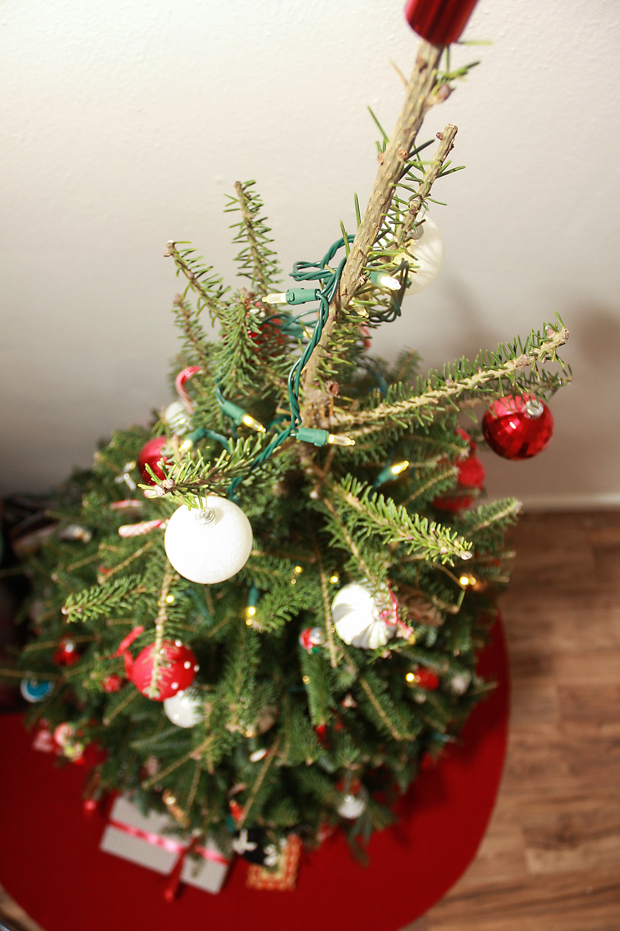 Top-Down view of a Christmas tree