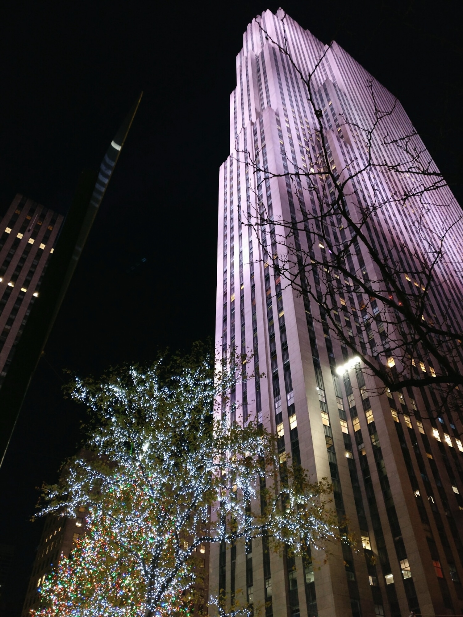 A large building in NYC, with a small tree coated in lights