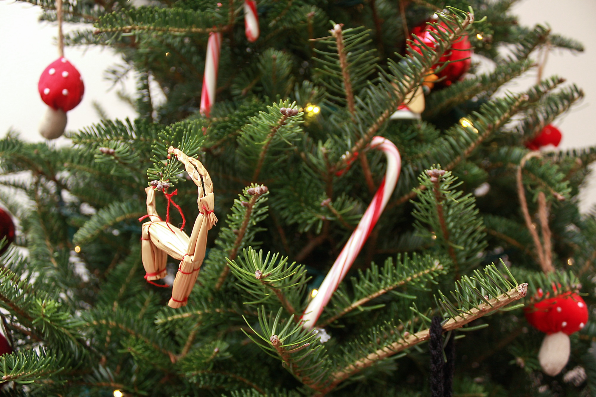 A tree with ornaments collected during travel