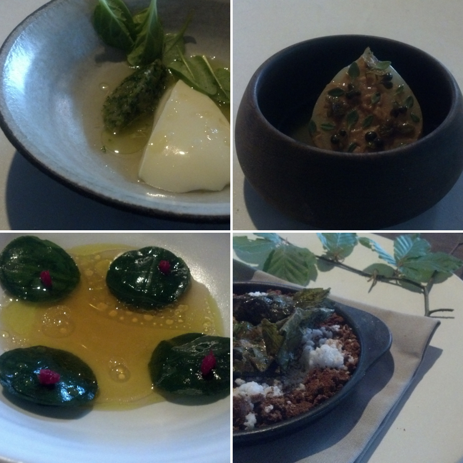 Courses 5-8 clockwise: 5. Curdled milk and the first garlic of 2015 | 6. Grilled onion with onion preserves | 7. New Danish potato with lovage | 8. Sweet shrimps wrapped in ramson leaves