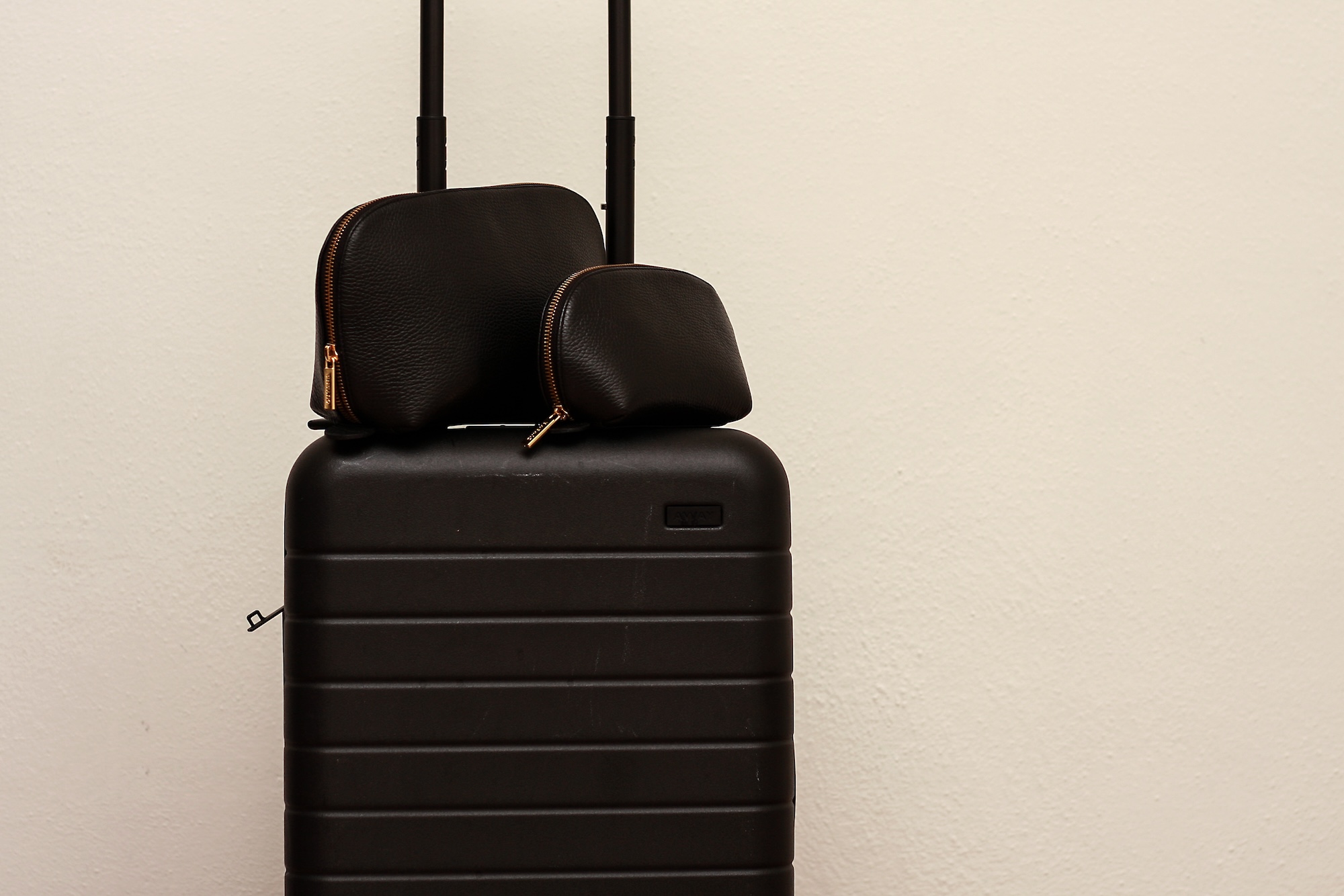 The Leather Travel Case Set from Cuyana sits on top of an Away Carry-On