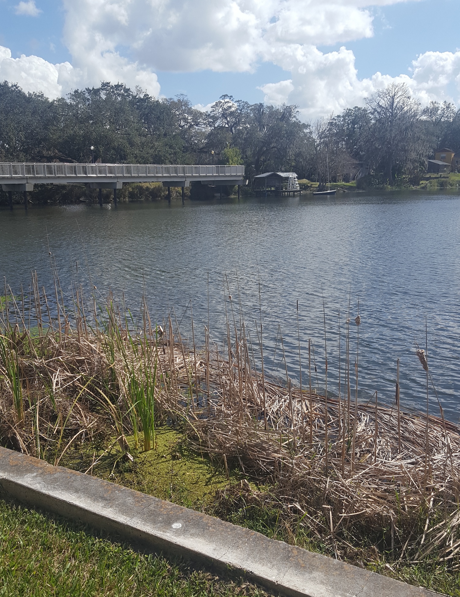 Waterfront at Mennello Museum in Orlando