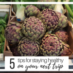 Five Tips for Staying Healthy on Your Next Trip