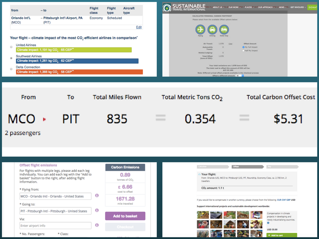 A screenshot of a purchase offsetting flight emissions