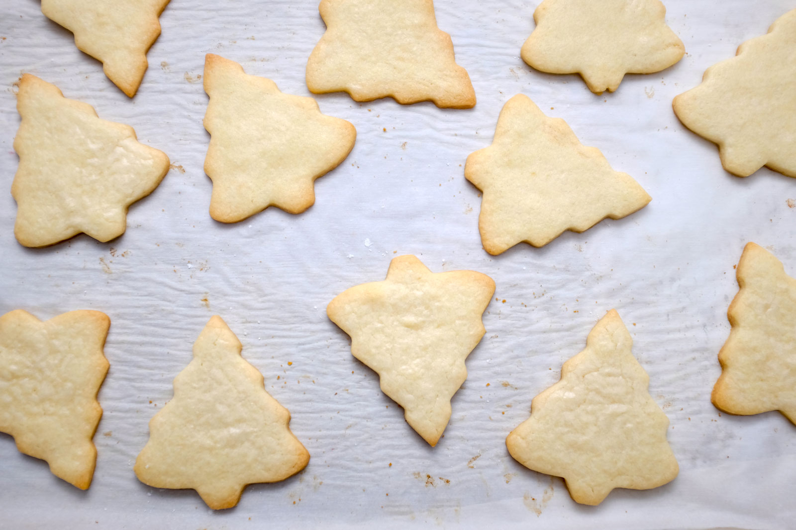 Christmas Tree Cookies on parchment paper