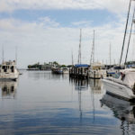 Exploring the Gulf Coast: A Day Trip Guide to St. Petersburg, Florida