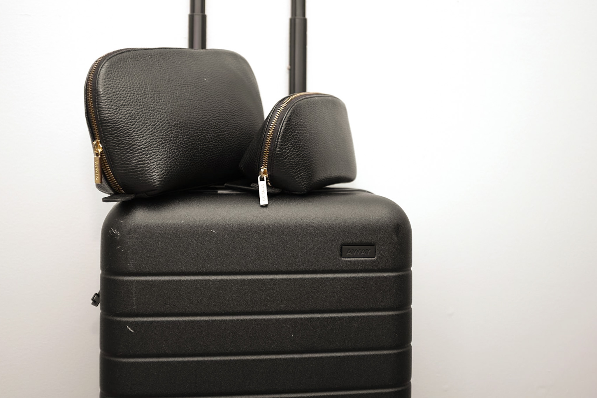 cuyana travel case review