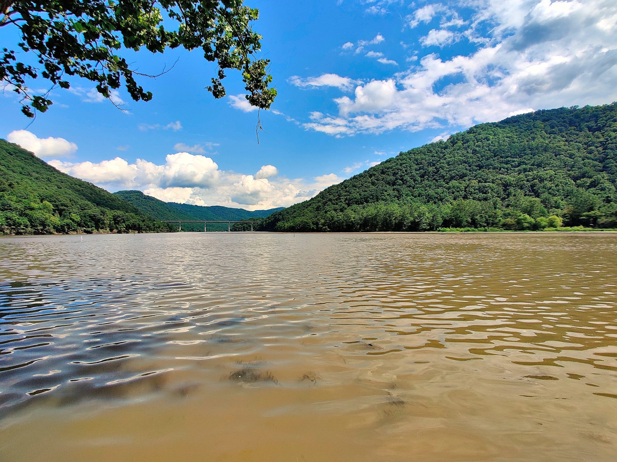 Savoring the Season: Your Guide to the Perfect Summer Getaway in Summers  County, West Virginia