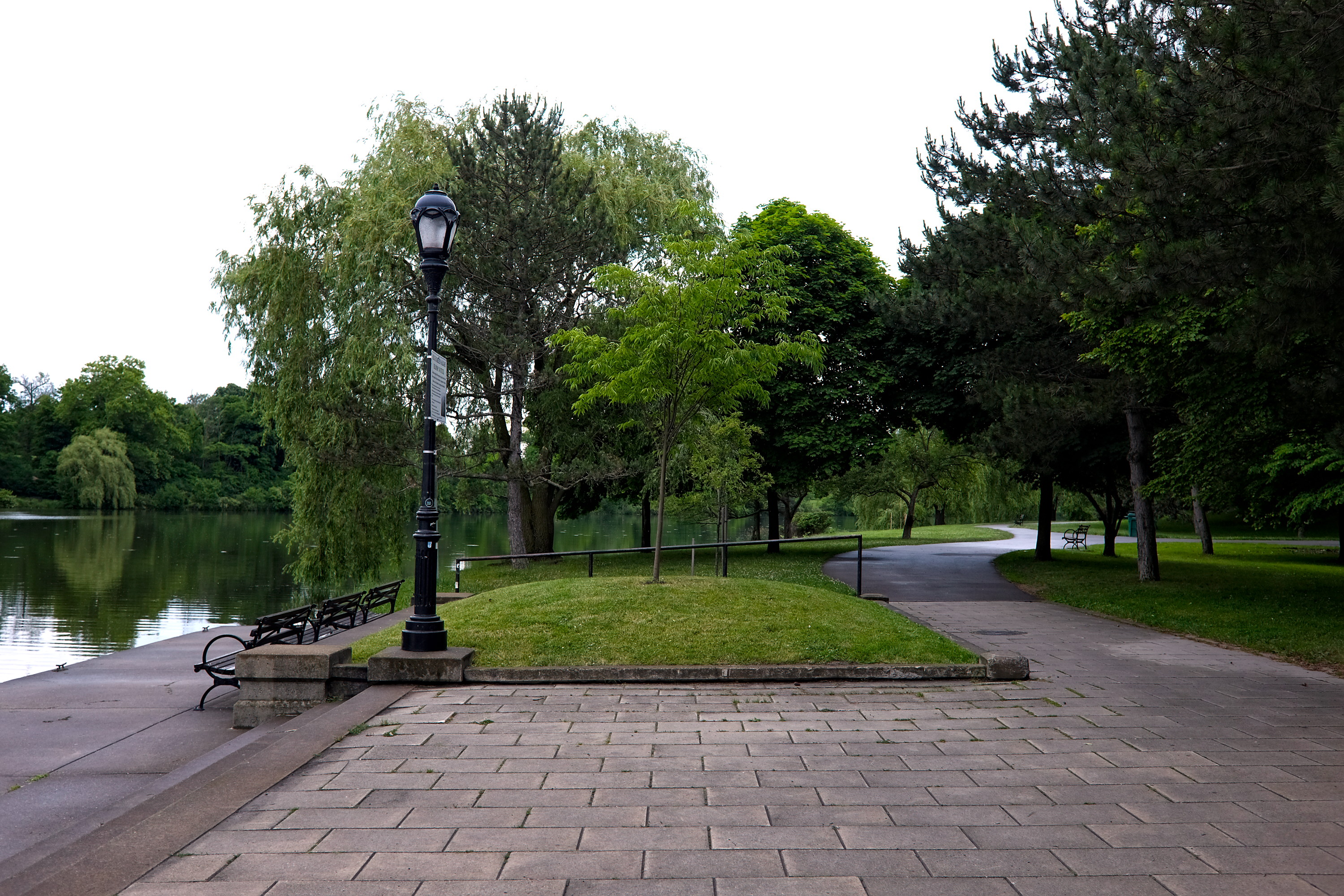 A path at Delaware Park