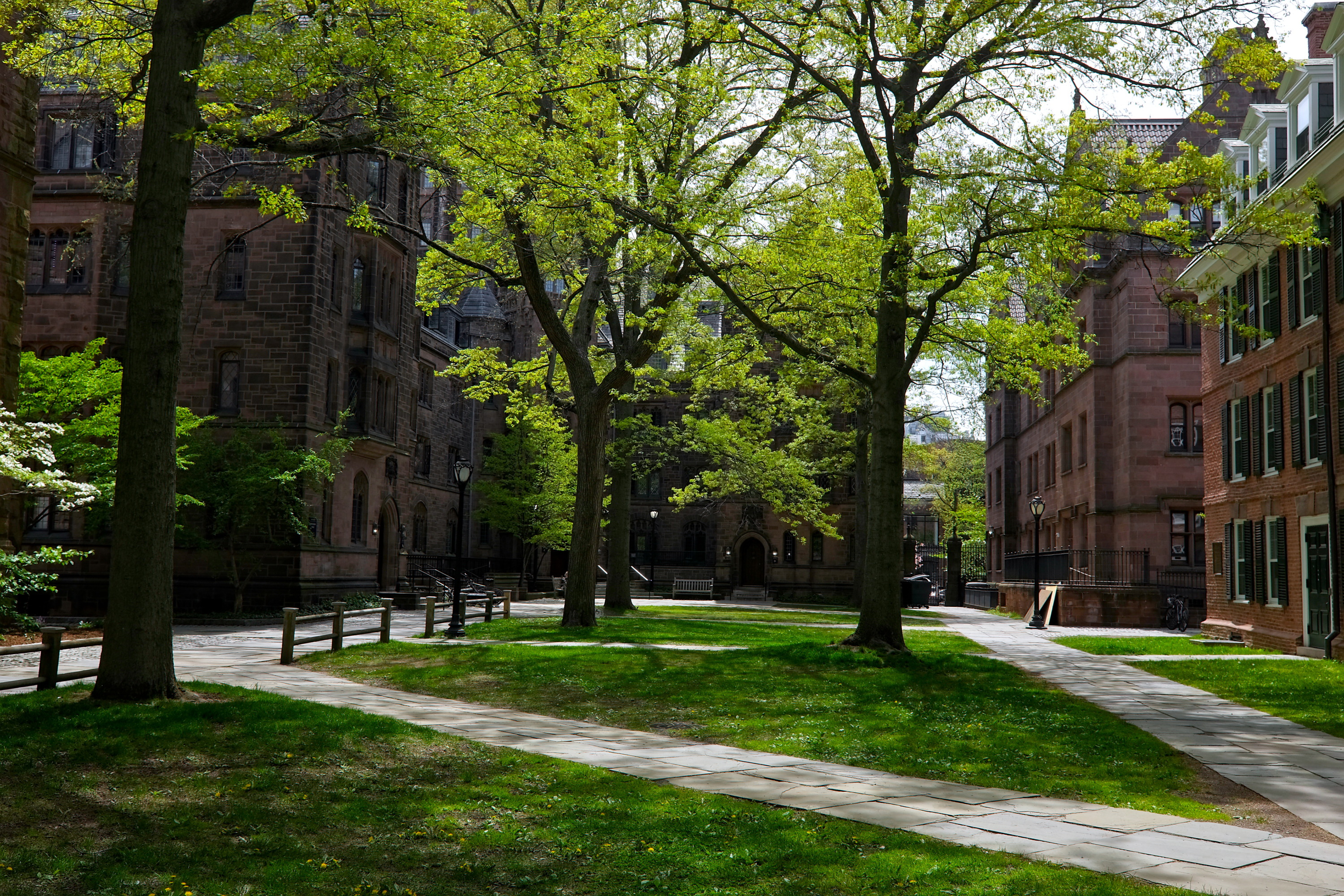 Grounds of Yale Campus