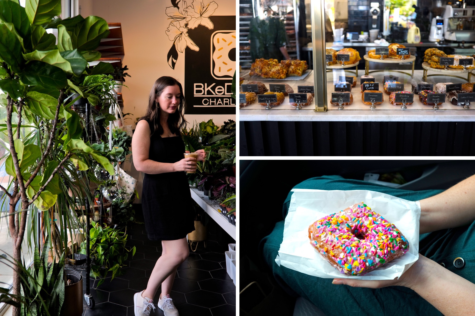 Alyssa looks at plants at bkedSHoP, a case of doughnuts, and Alyssa holds a pink sprinkle doughnut