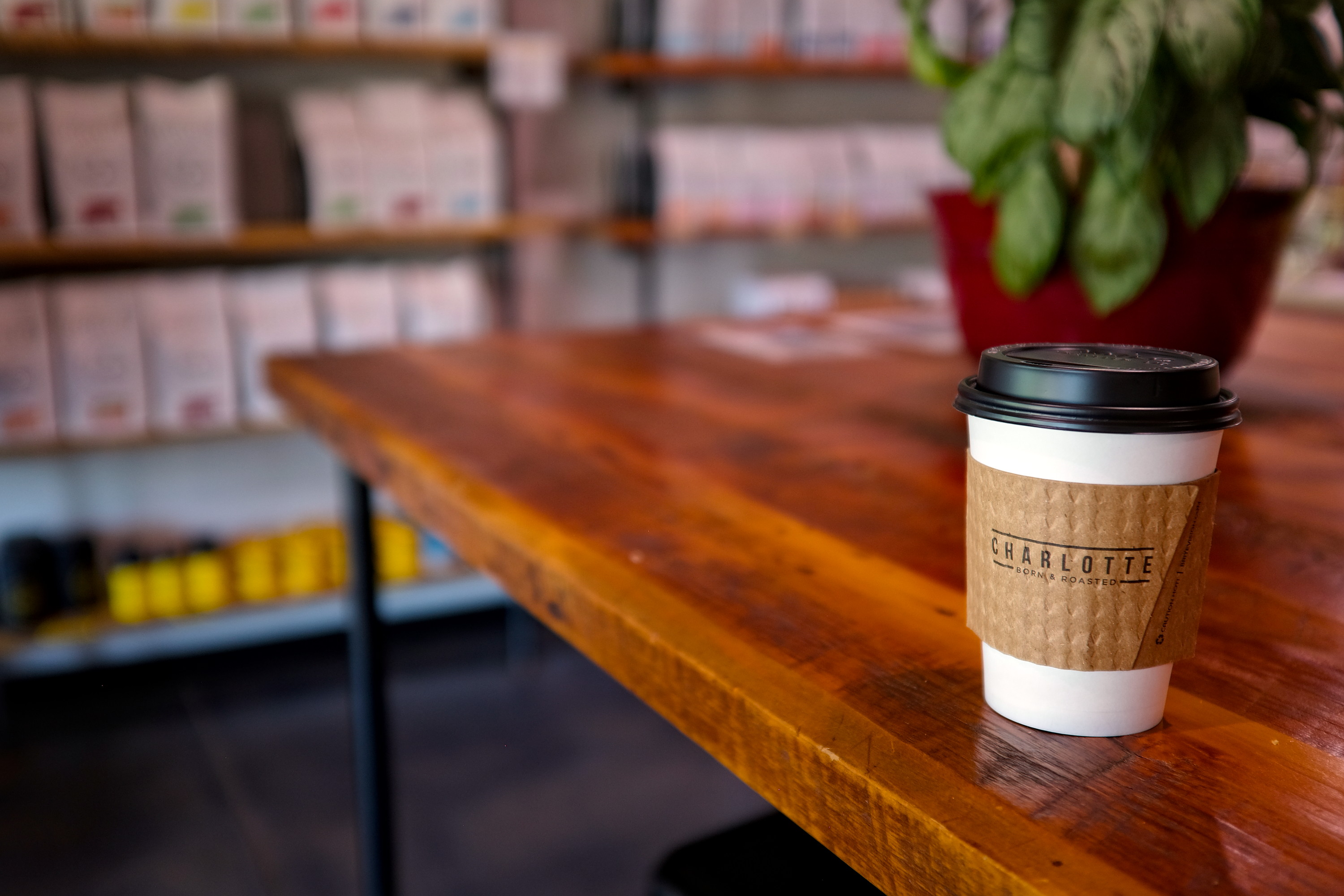 A coffee cup that reads "Charlotte Born and Roasted" on the sleeve