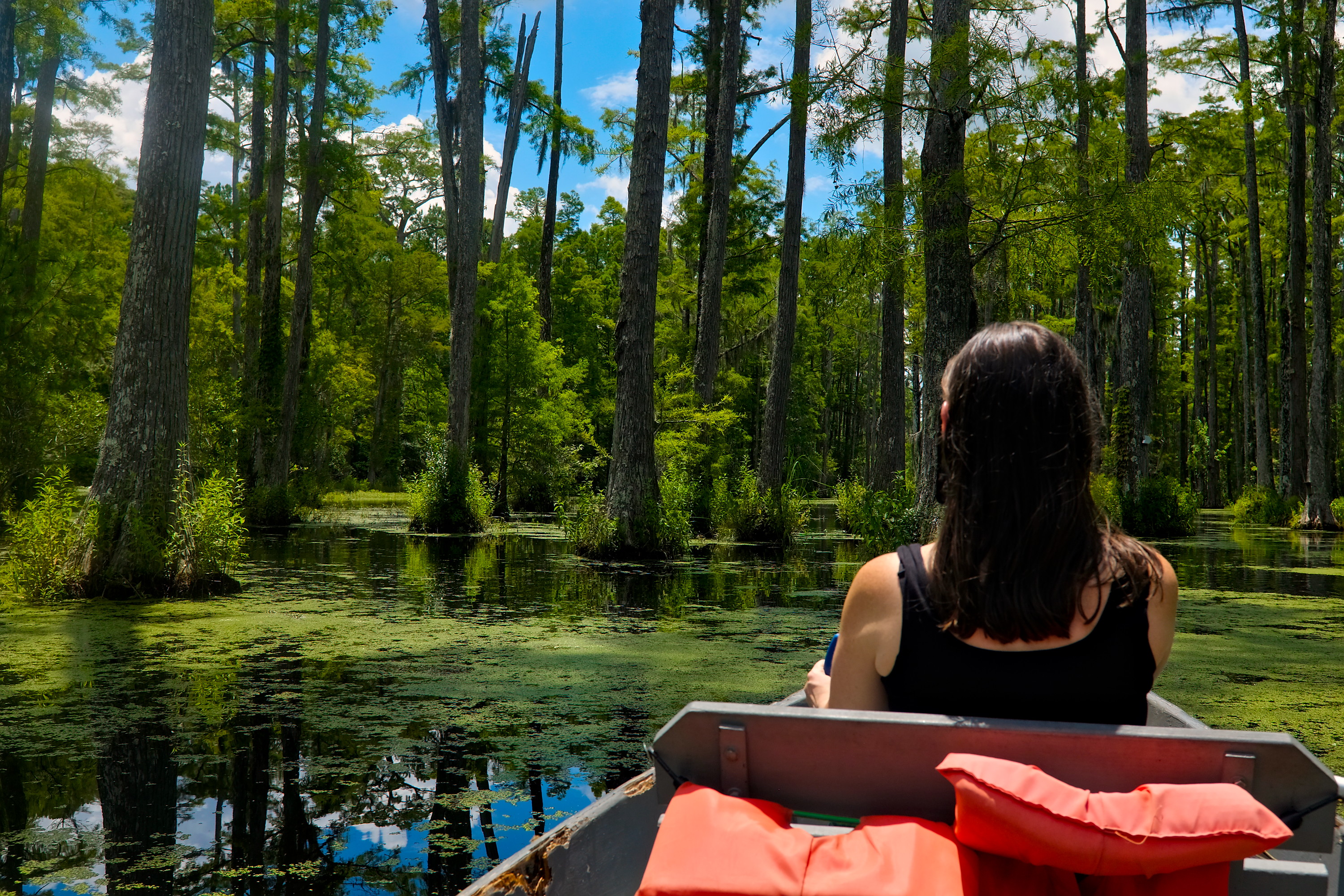 Alyssa paddles at Cypress Gardens