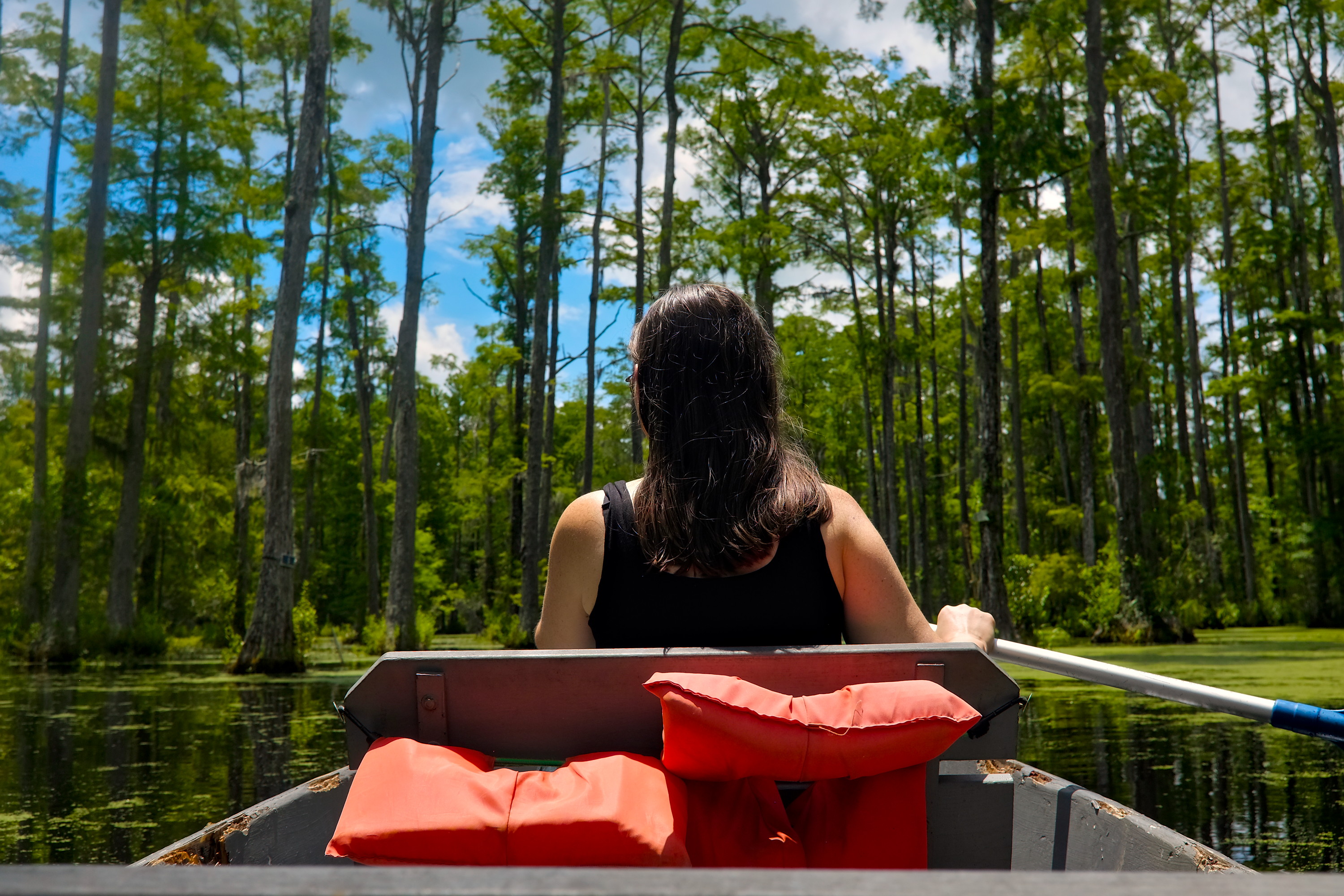 Alyssa paddles at Cypress Gardens