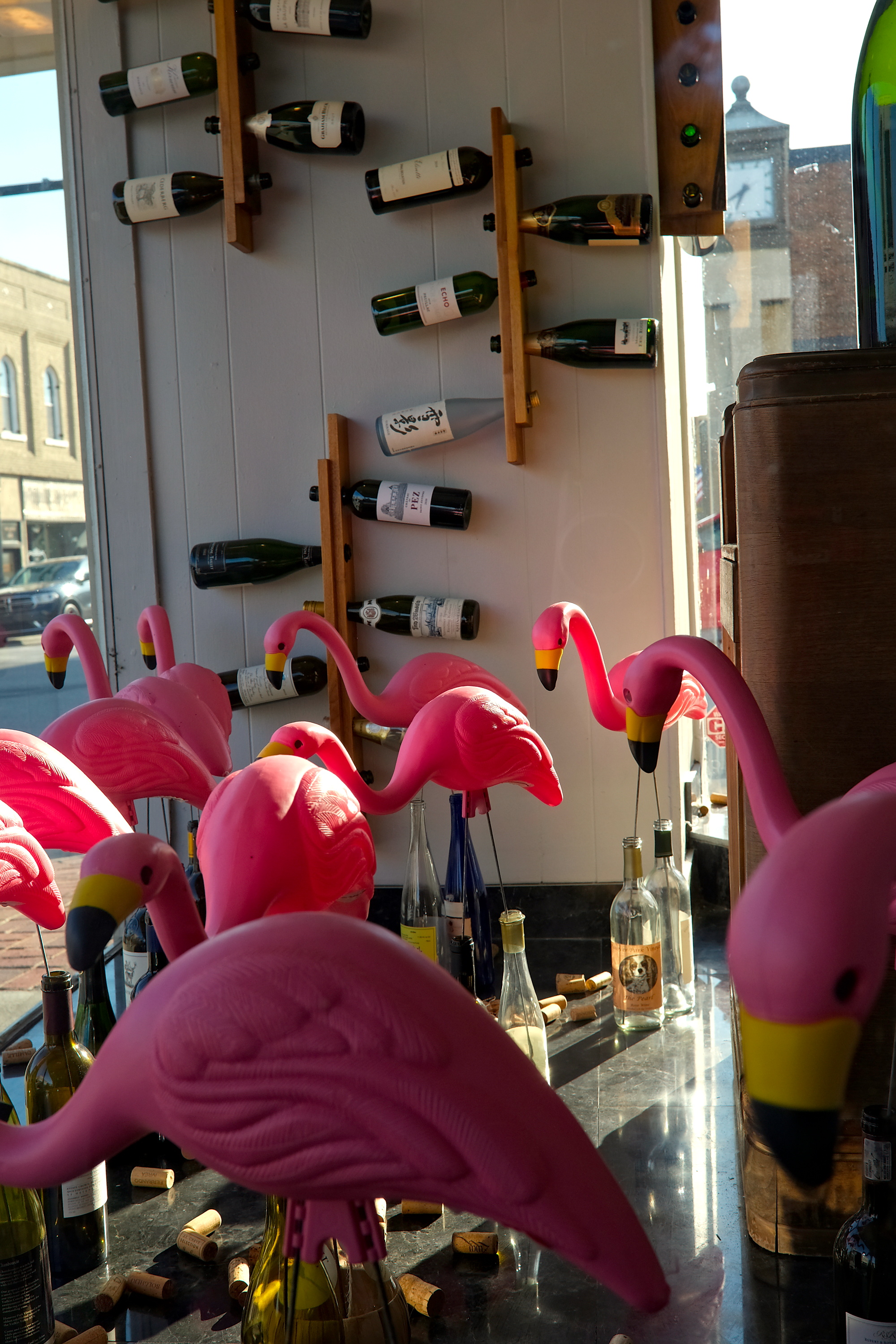 Pink flamingos at The Wisdom Table