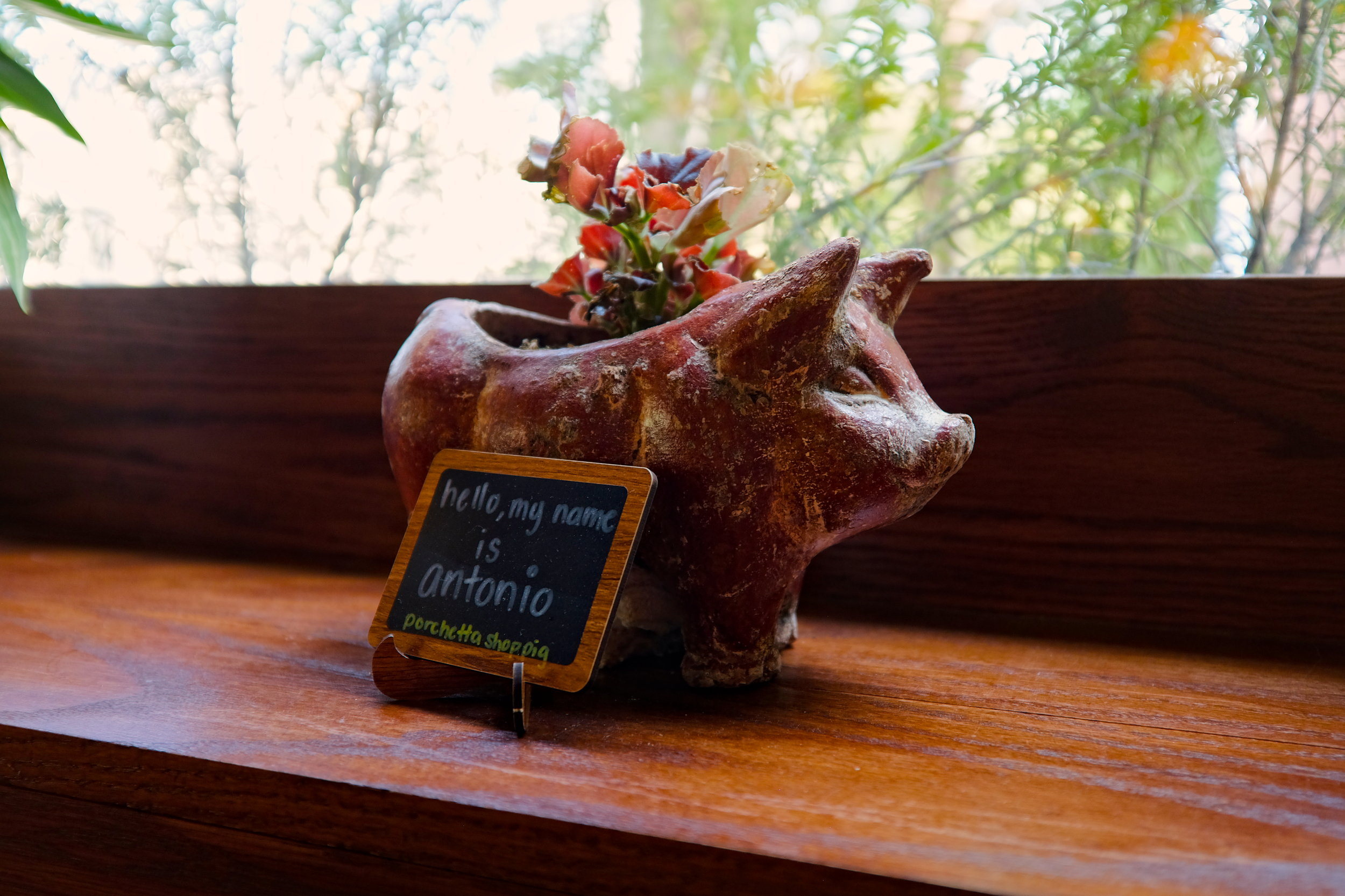 The shop pig named Antonio at Porchetta Shop