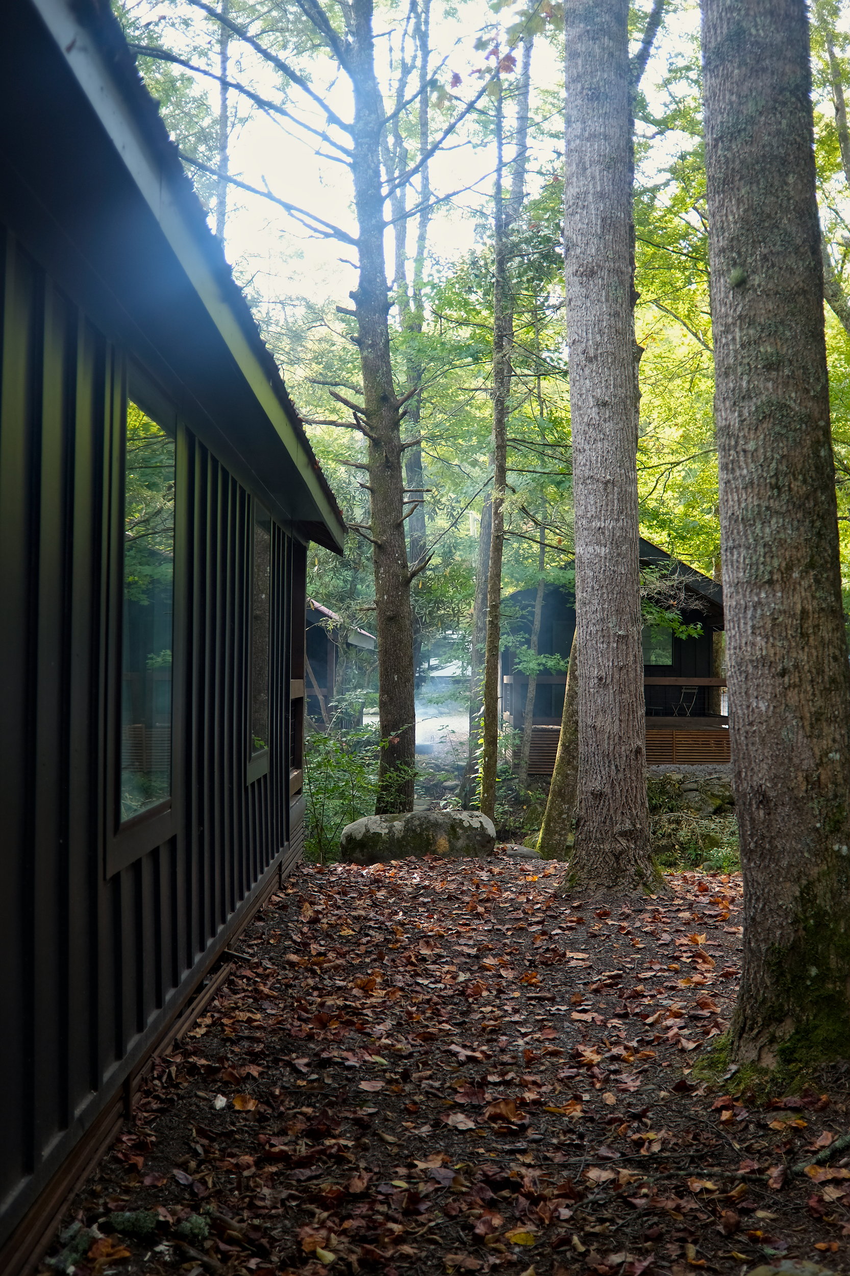 Cabins at Roamstead