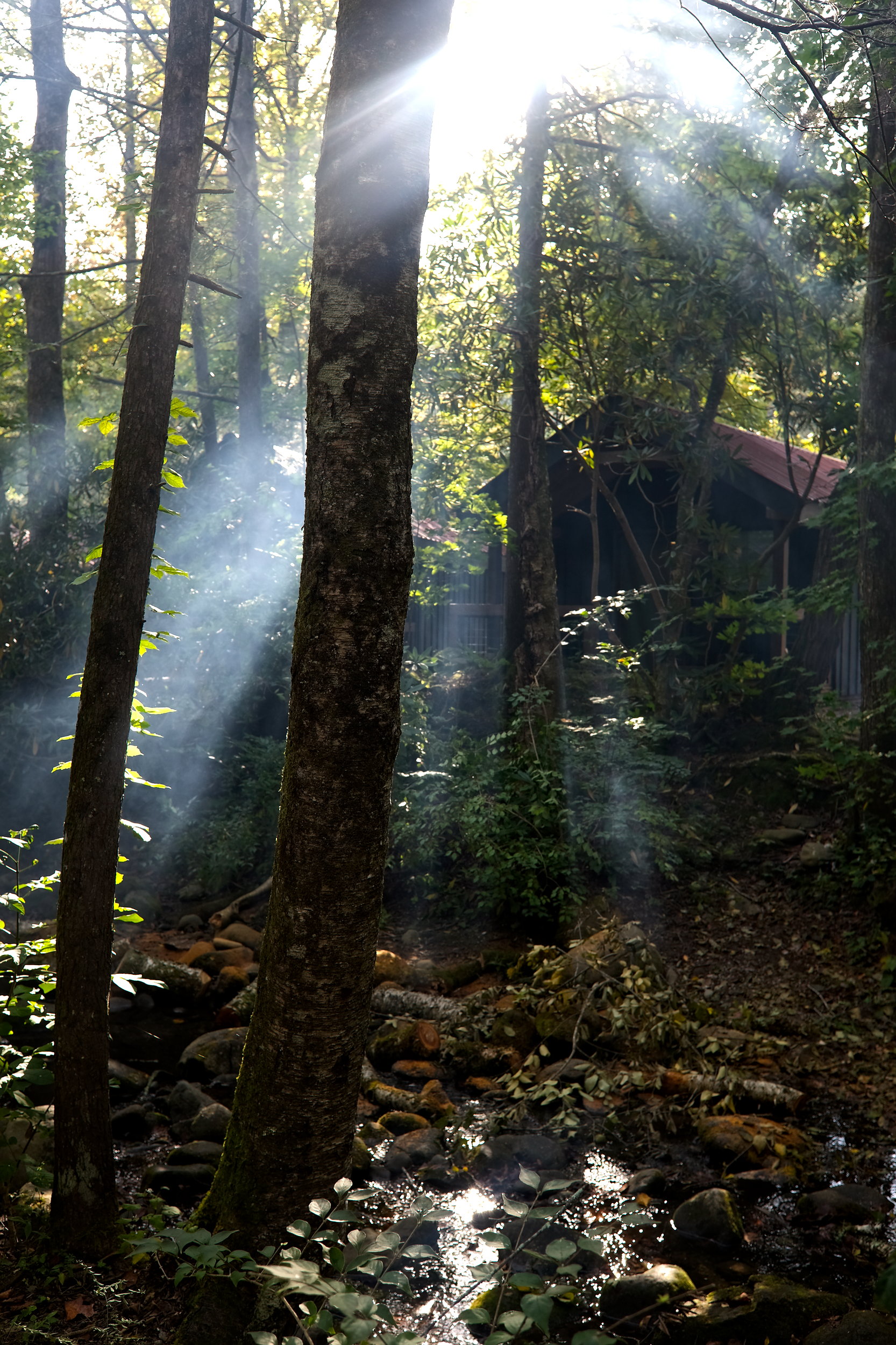 A set of cabins at Roamstead in the Smoky Mountains