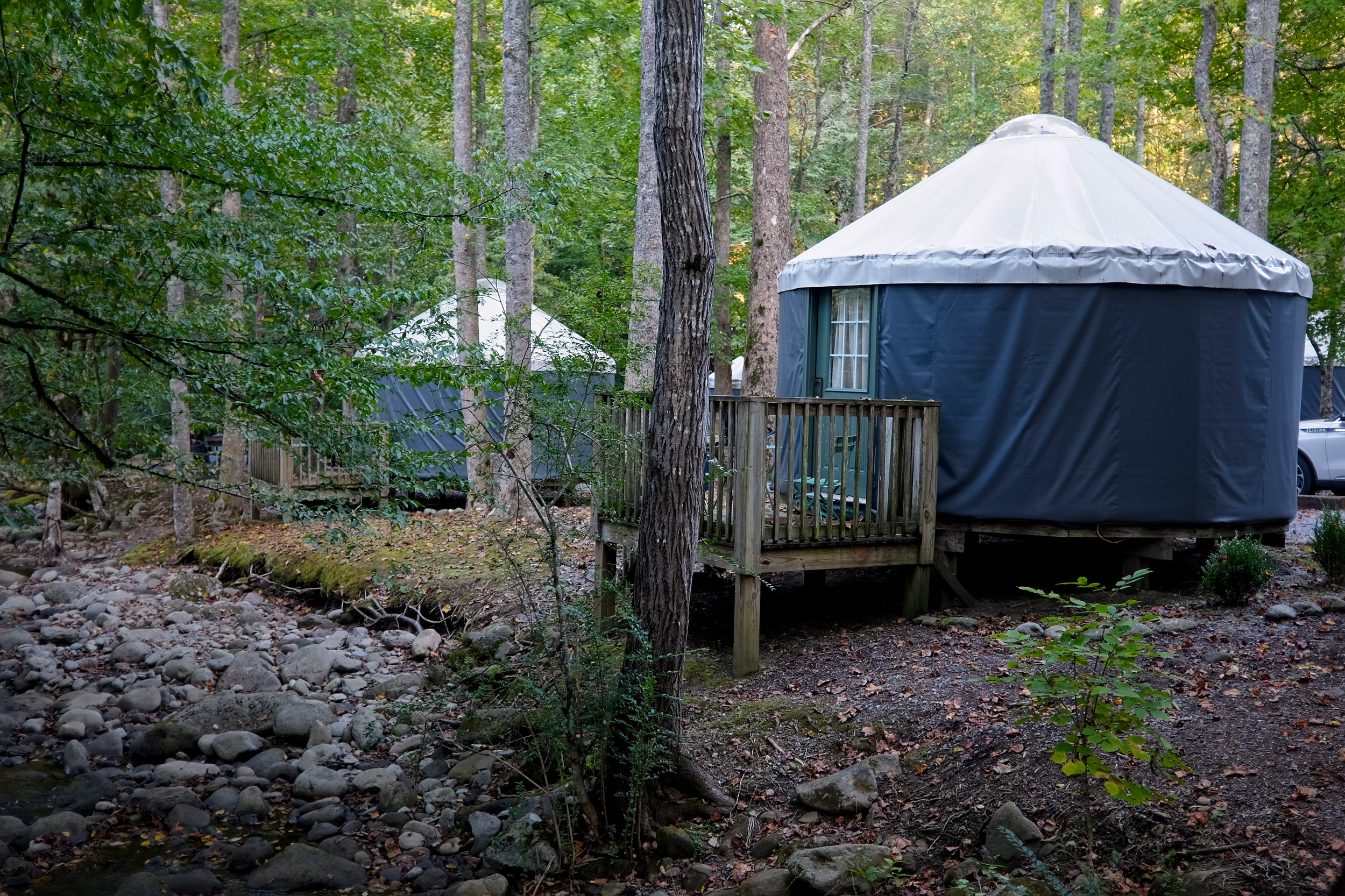 A set of yurts at Roamstead in the Smoky Mountains