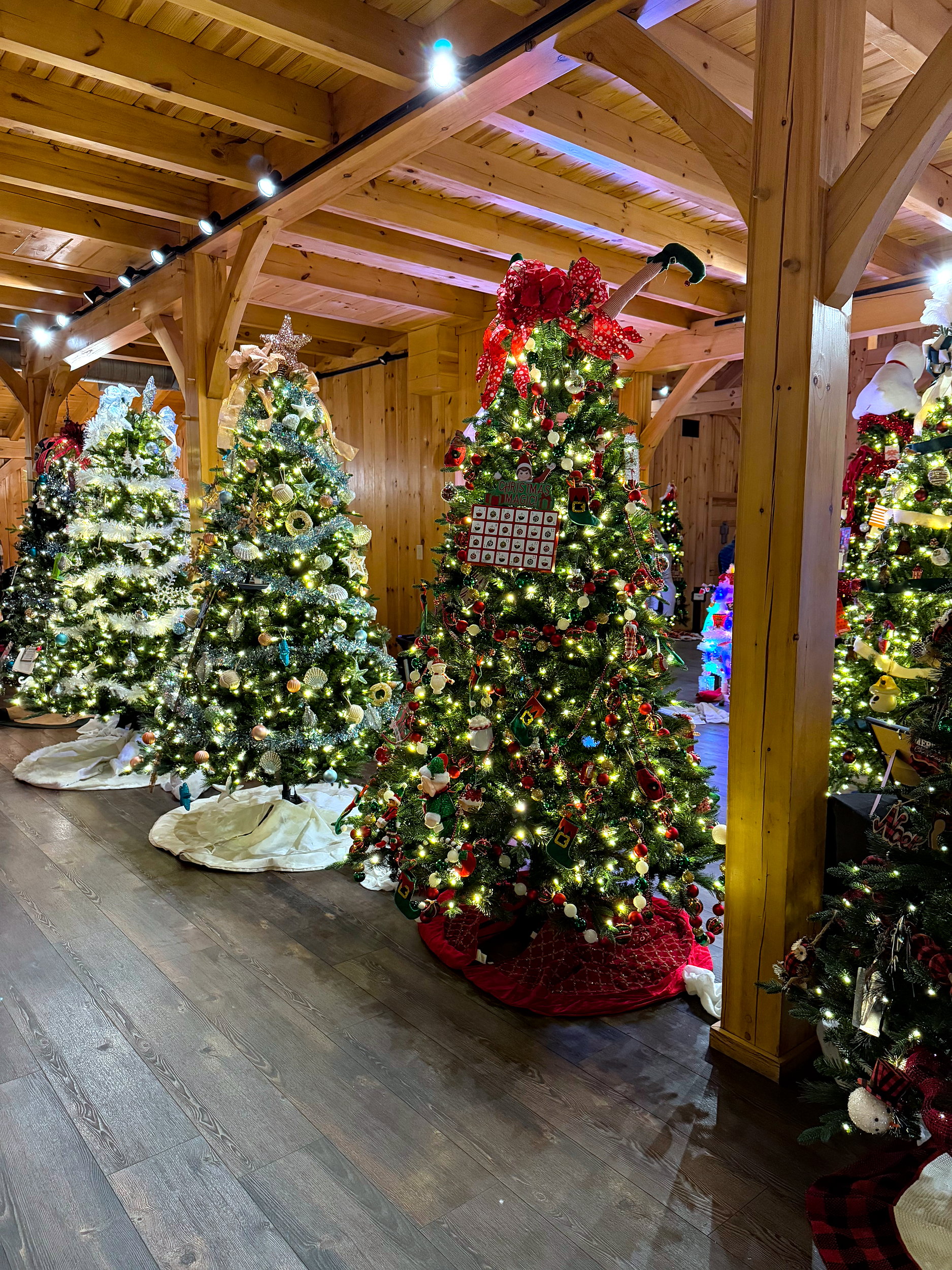 A row of trees at Chickadee Hill Farms