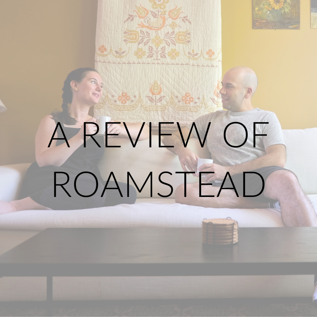 Alyssa and Michael on a couch with text overlay "A Review of Roamstead"