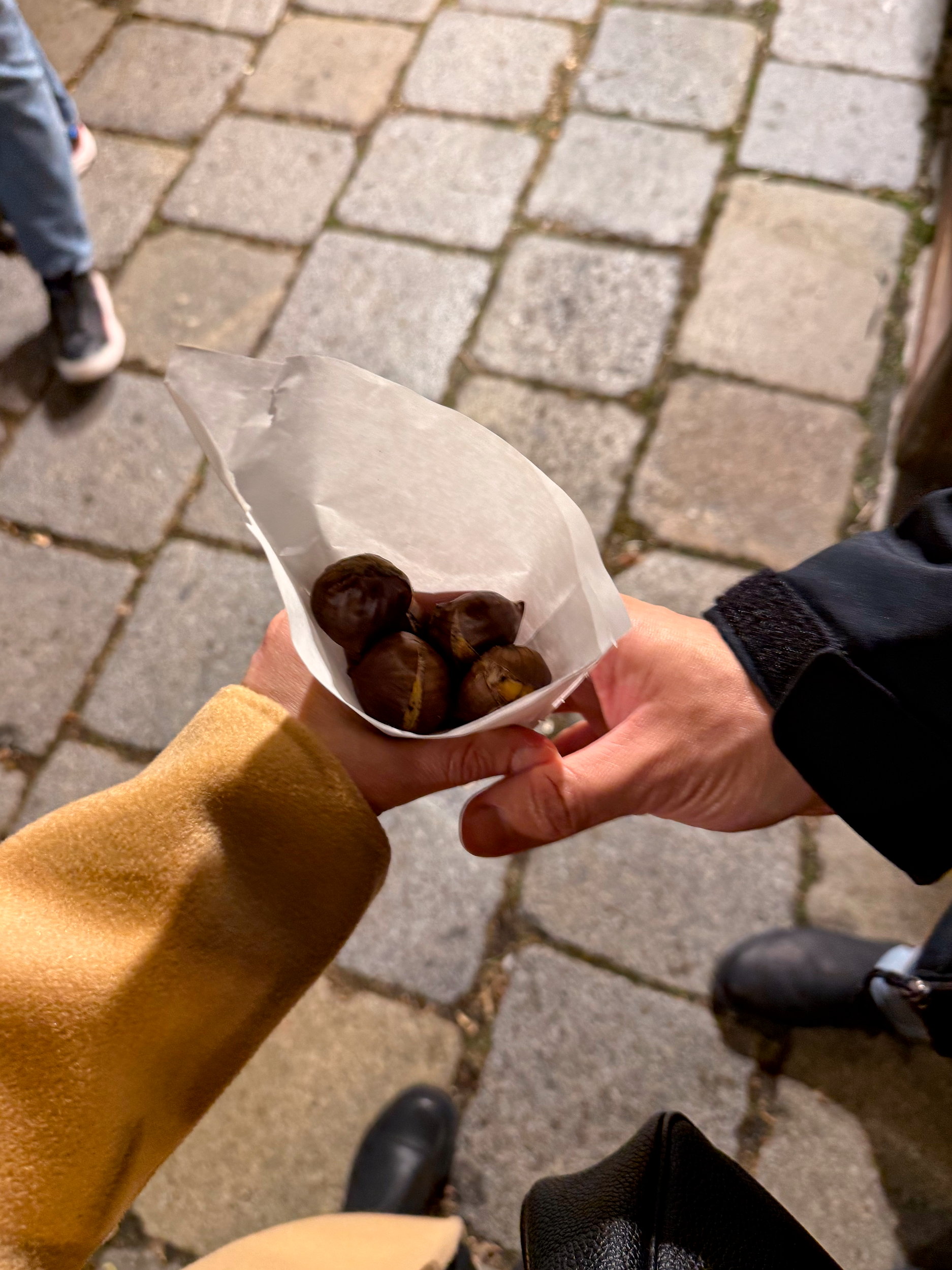 A cone of chestnuts