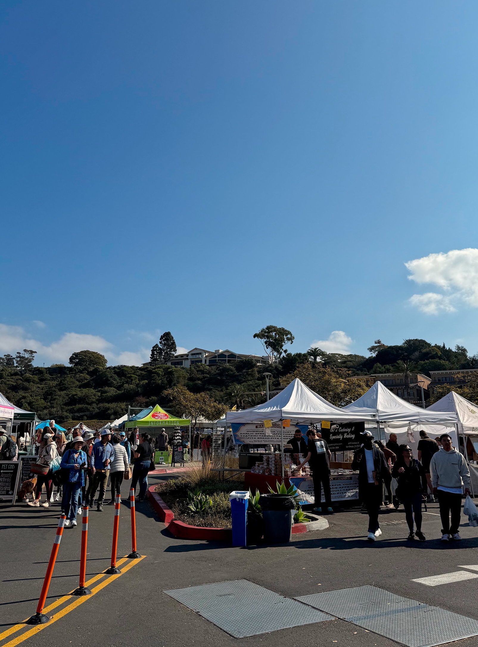 A view of the La Jolla Open Aire Farmers Market